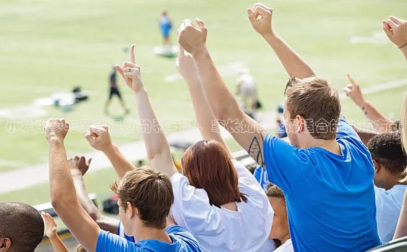 恒行6娱乐APP官网登录入口京东小学生参与足球运动的利与弊，家长如何选择适合的训练方式