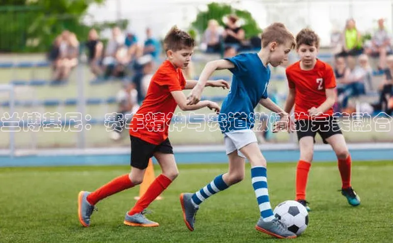 恒行6登录入口注册路畅科技兰博基尼：赛车精神与赛道激情的完美融合