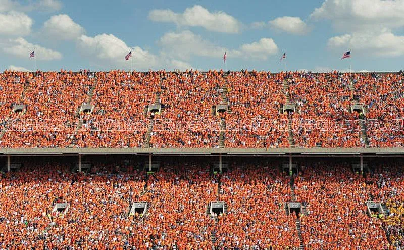 潮流引领者：如何通过精准运动赛事赞助策略提升品牌影响力与市场表现