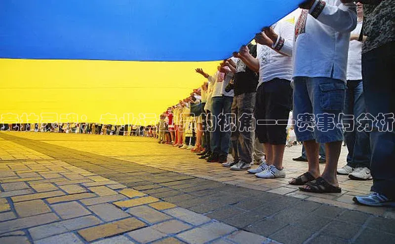 竞技灵魂：专业运动员的视角——赛事与分析