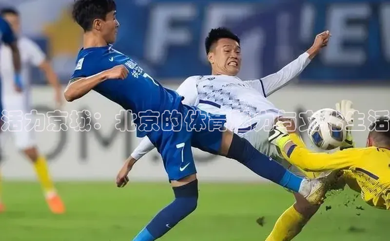 活力京城：北京的体育魅力与文化生活