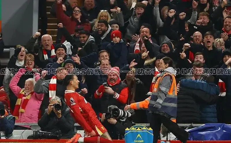 成都：未来体育与文化融合的新篇章——运动赛事开办单位的机遇和挑战