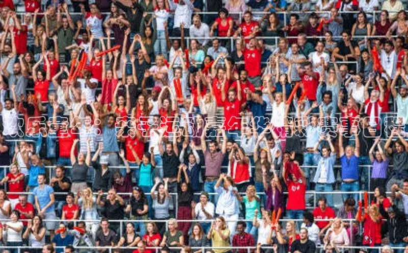 欢乐童年：亲子运动嘉年华精彩赛事日程