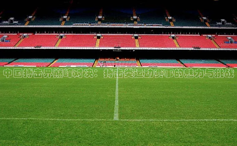 中国搏击界巅峰对决：搏击类运动赛事的魅力与挑战