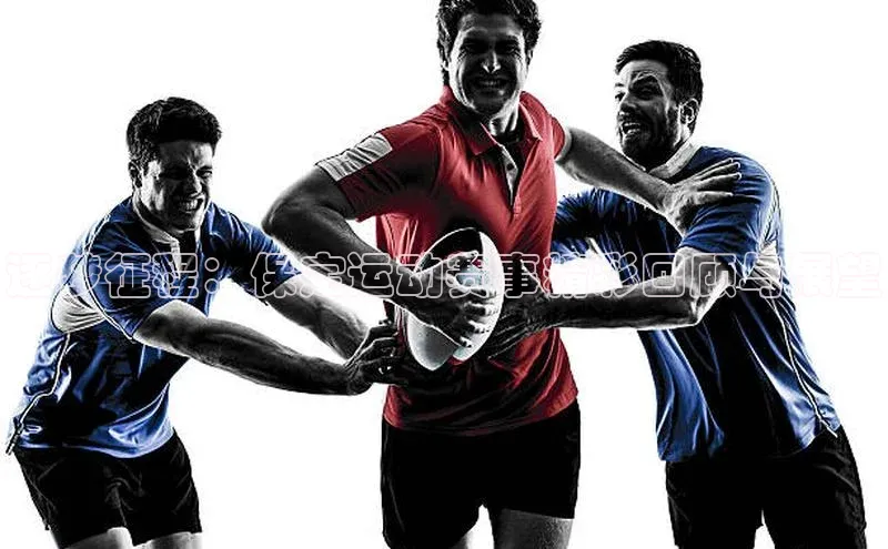 逐梦征程：保定运动赛事精彩回顾与展望