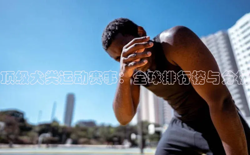 恒行官网首页登录入口